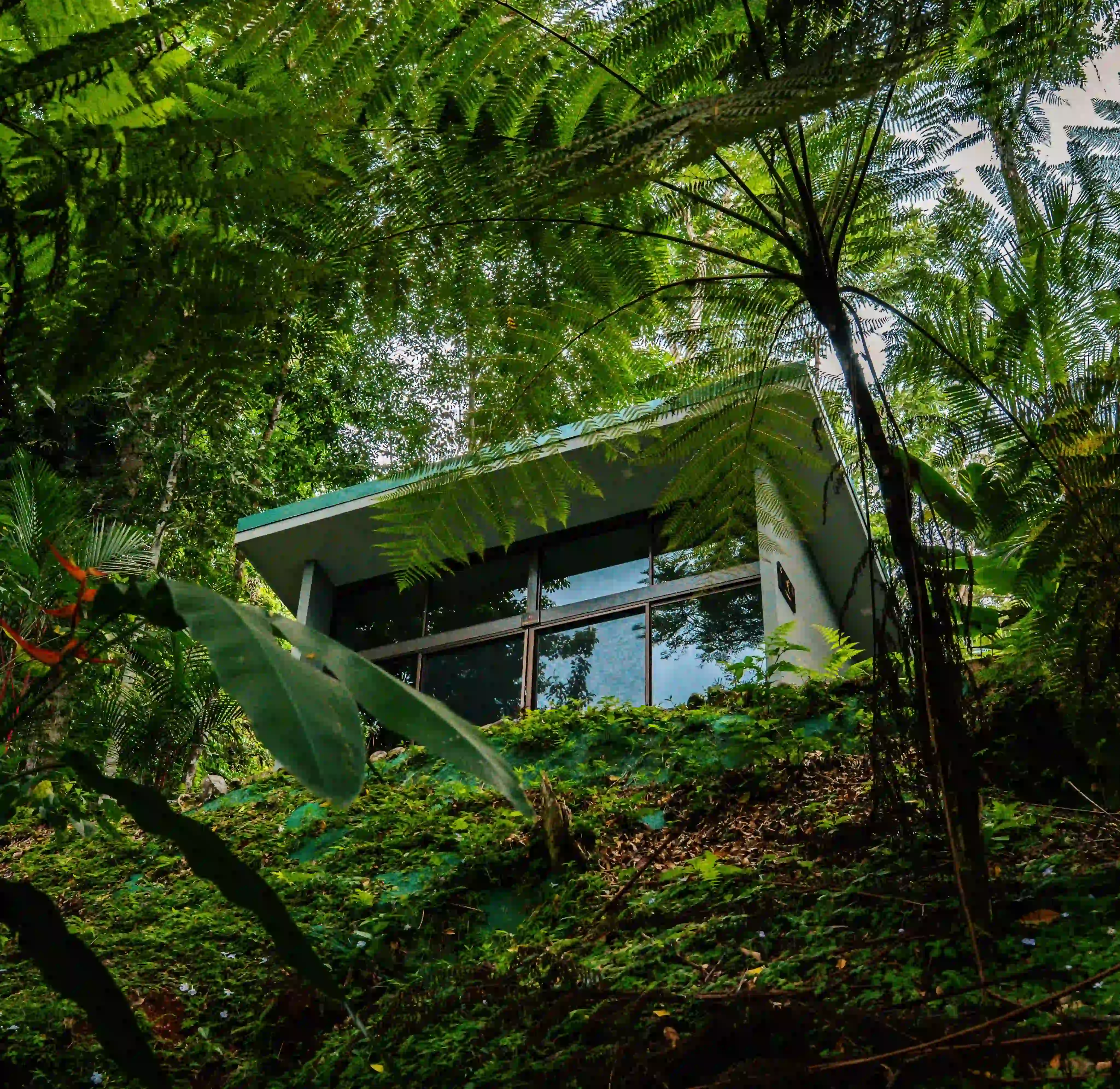 Modern jungle villa at Vajra Jahra Retreat Center surrounded by lush greenery in Costa Rica’s Diamante Valley. 