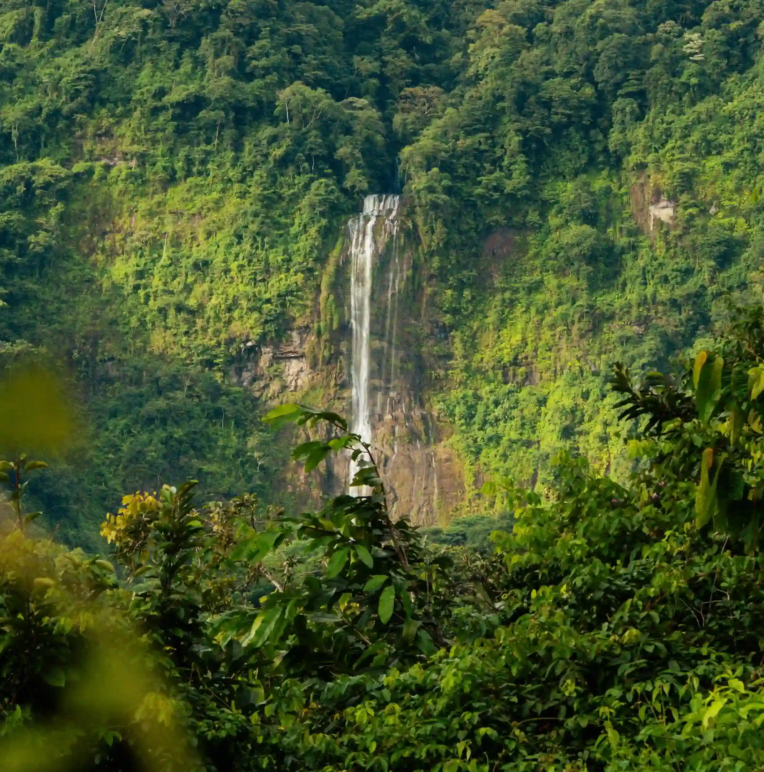 The stunning Diamante Waterfall, which can be seen from Vajra Jahra's Costa Rica retreat center.
