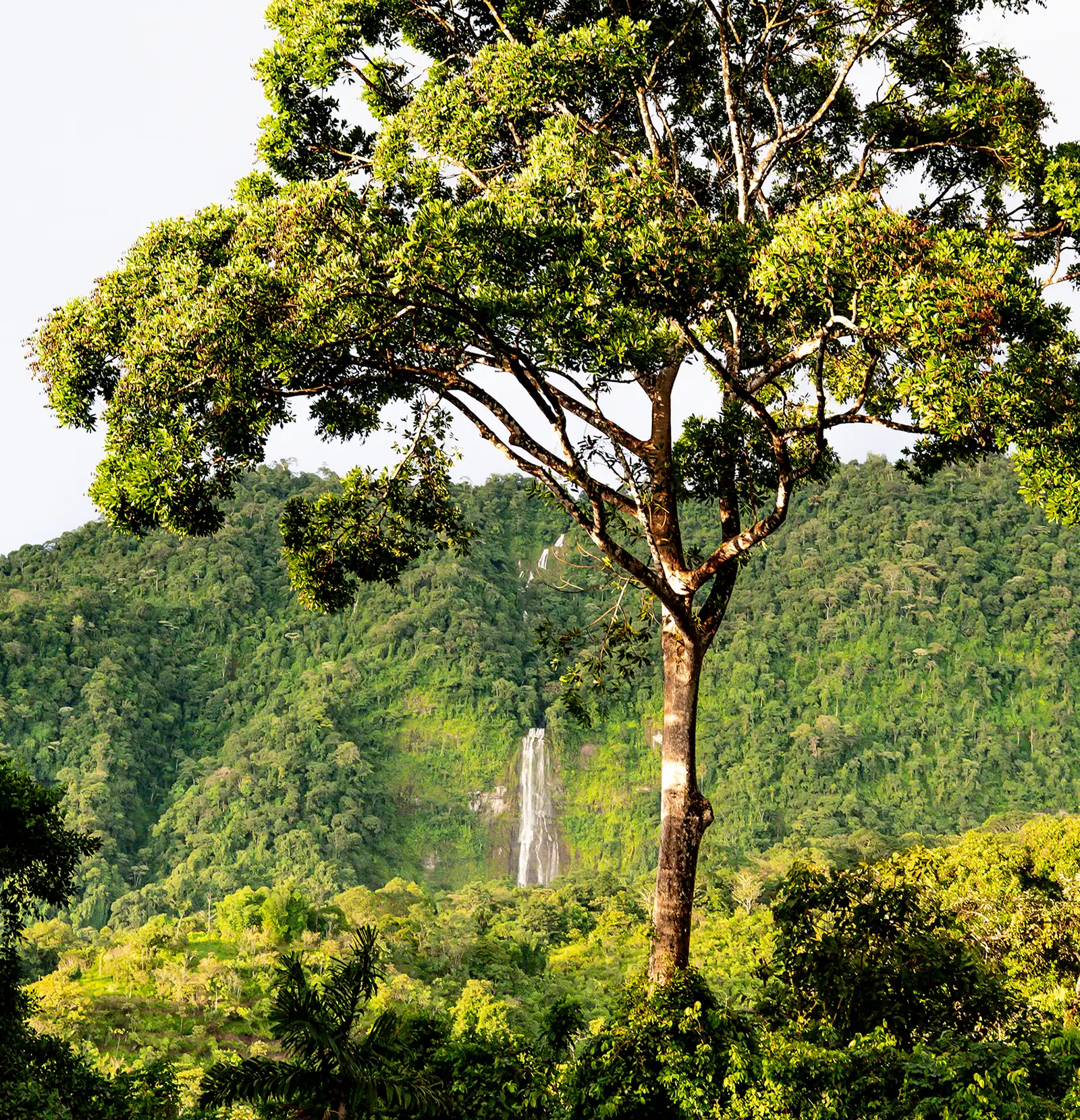 View of Costa Rica’s Diamante Waterfall at the Vajra Jahra Retreat Center, a serene place to rent a Retreat Center.