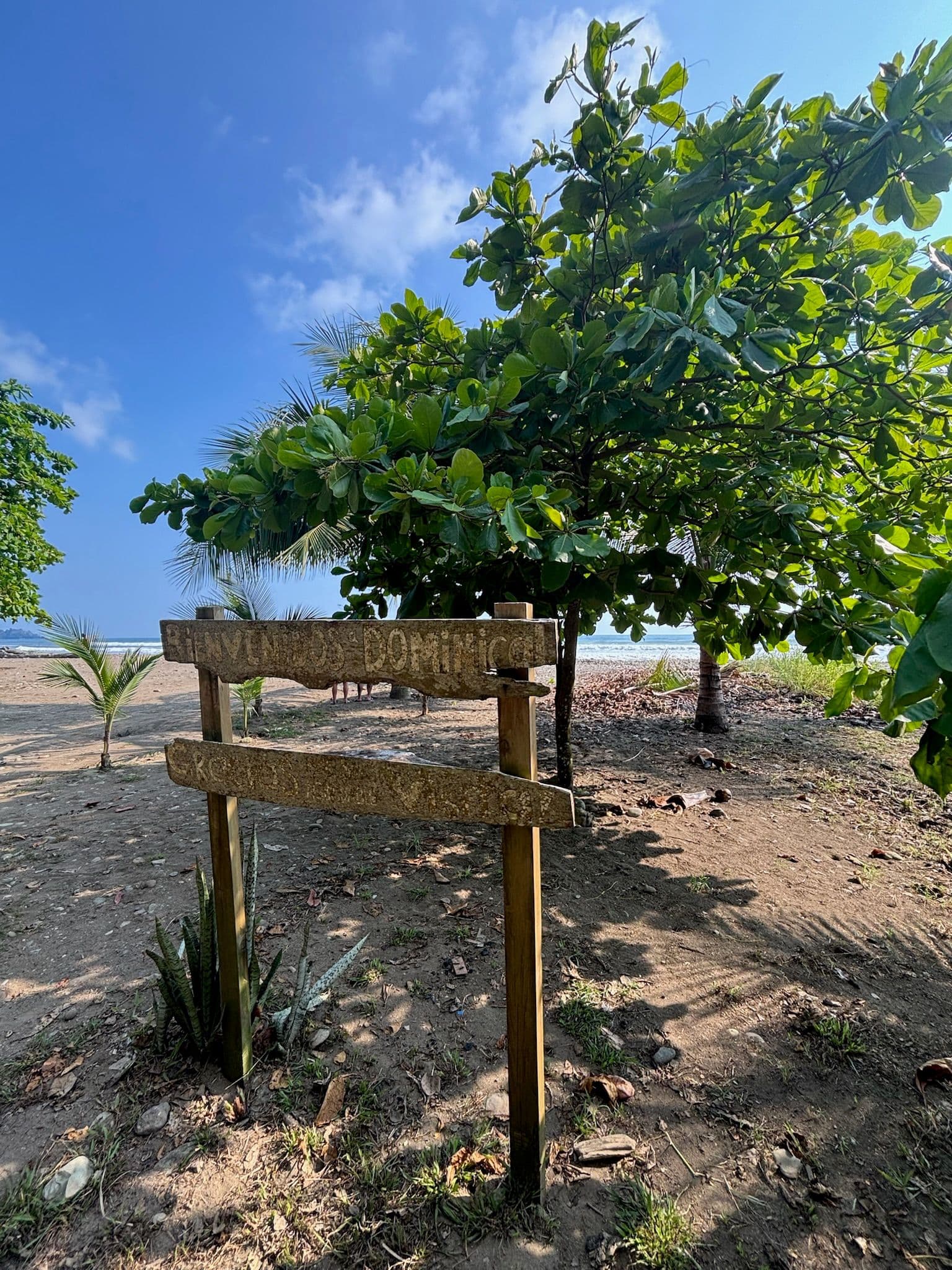 A gorgeous beachside view from ocean to treeline with a welcome sign in Dominical, Costa Rica, a great stop for visitors of all kinds.