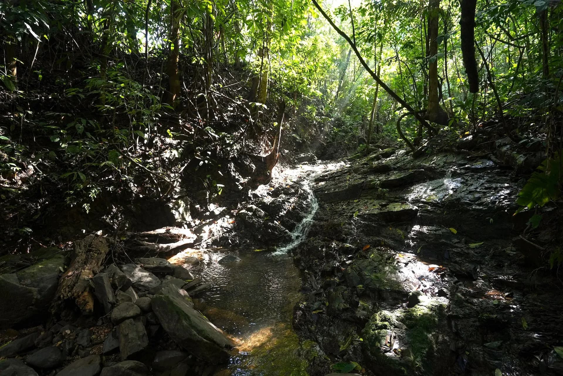Peaceful jungle stream flowing through the on-site nature trails at Vajra Jahra Costa Rica retreat center.