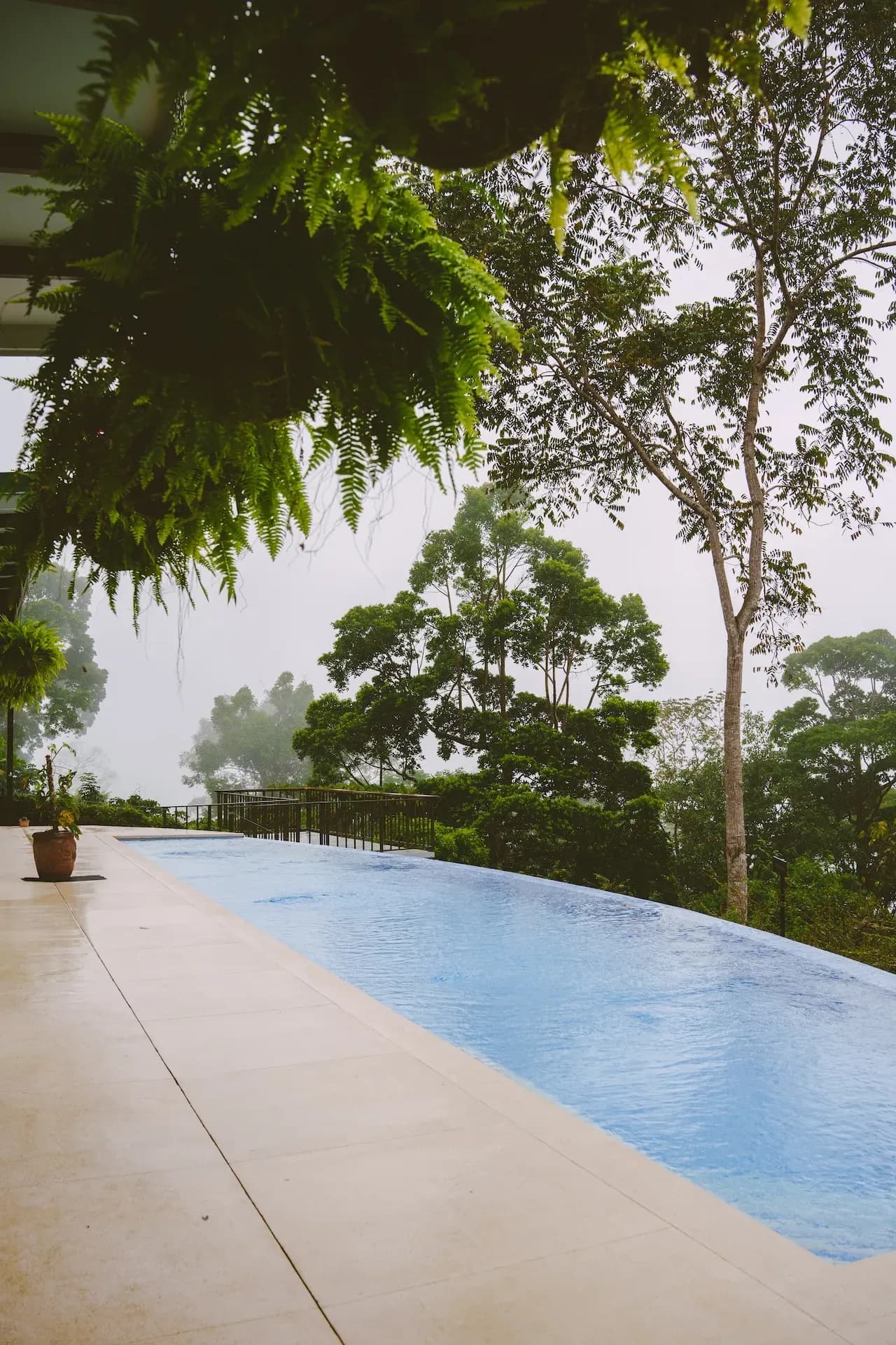 Infinity pool at a Costa Rica retreat center surrounded by jungle, ideal for yoga and wellness retreats.