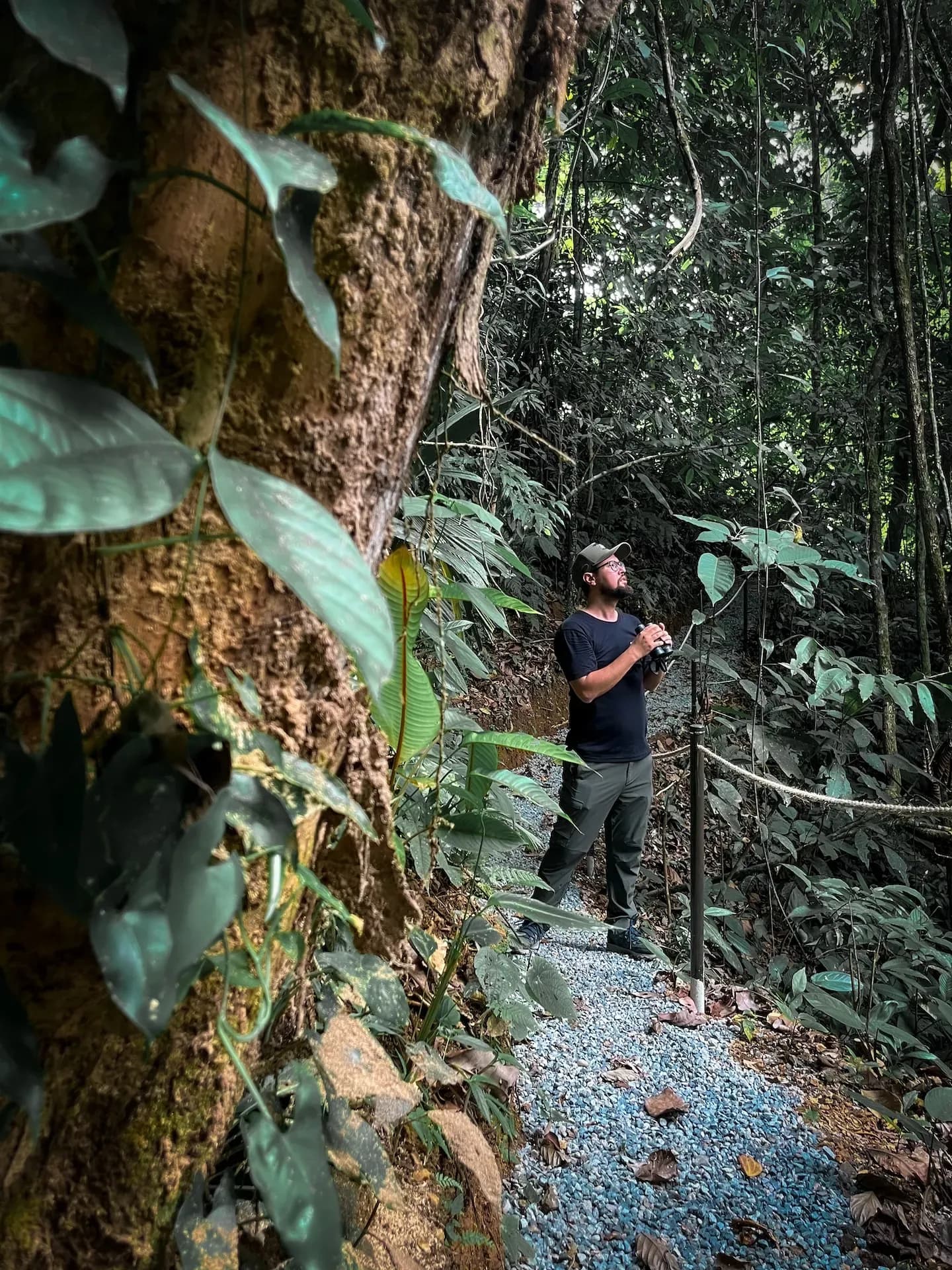 Guest exploring lush jungle path on the on-site hiking trails at Vajra Jahra Costa Rica retreat center.