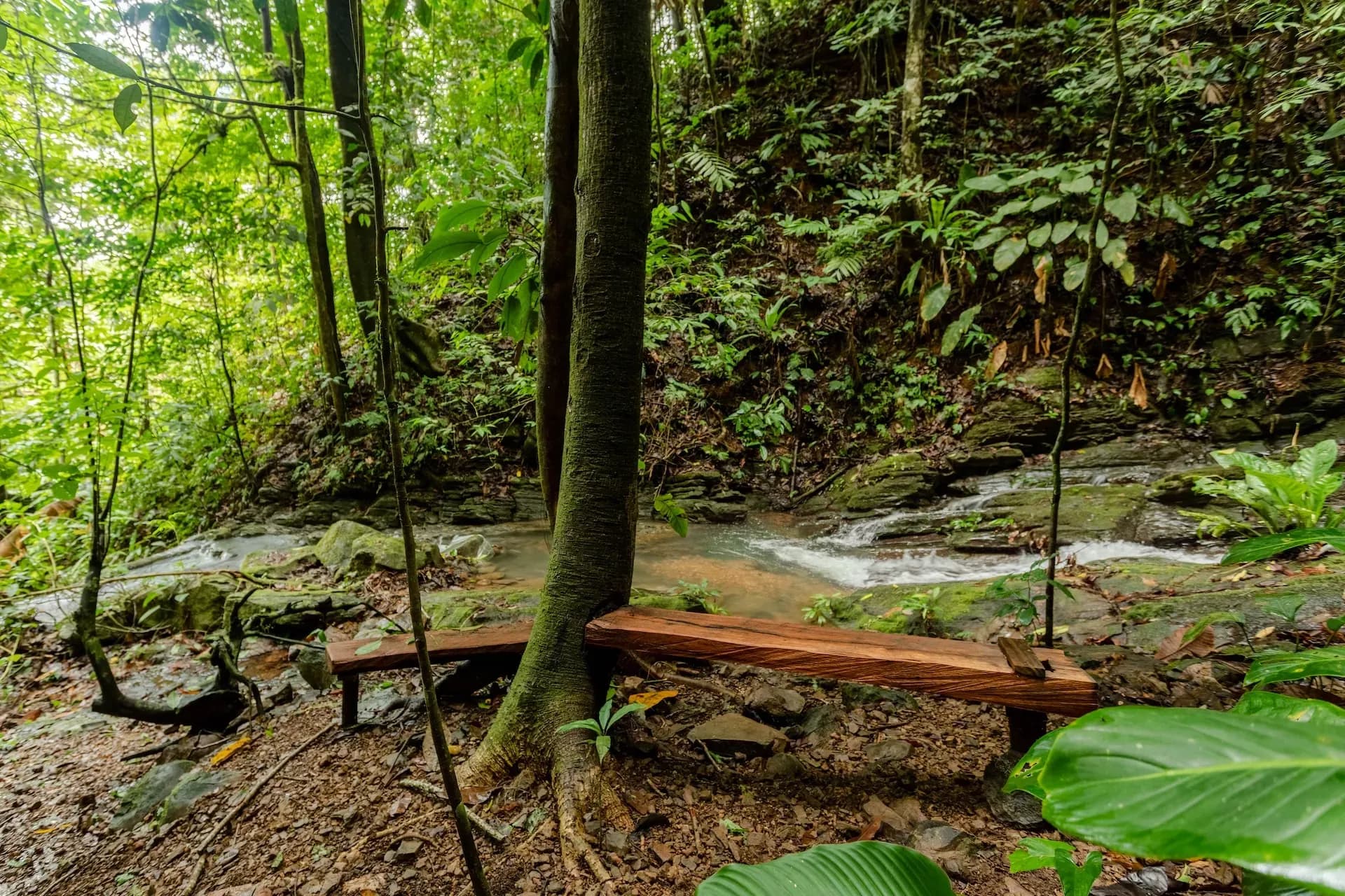 Wooden bench beside a jungle stream on the nature trails at Vajra Jahra, a Costa Rica wellness retreat center.