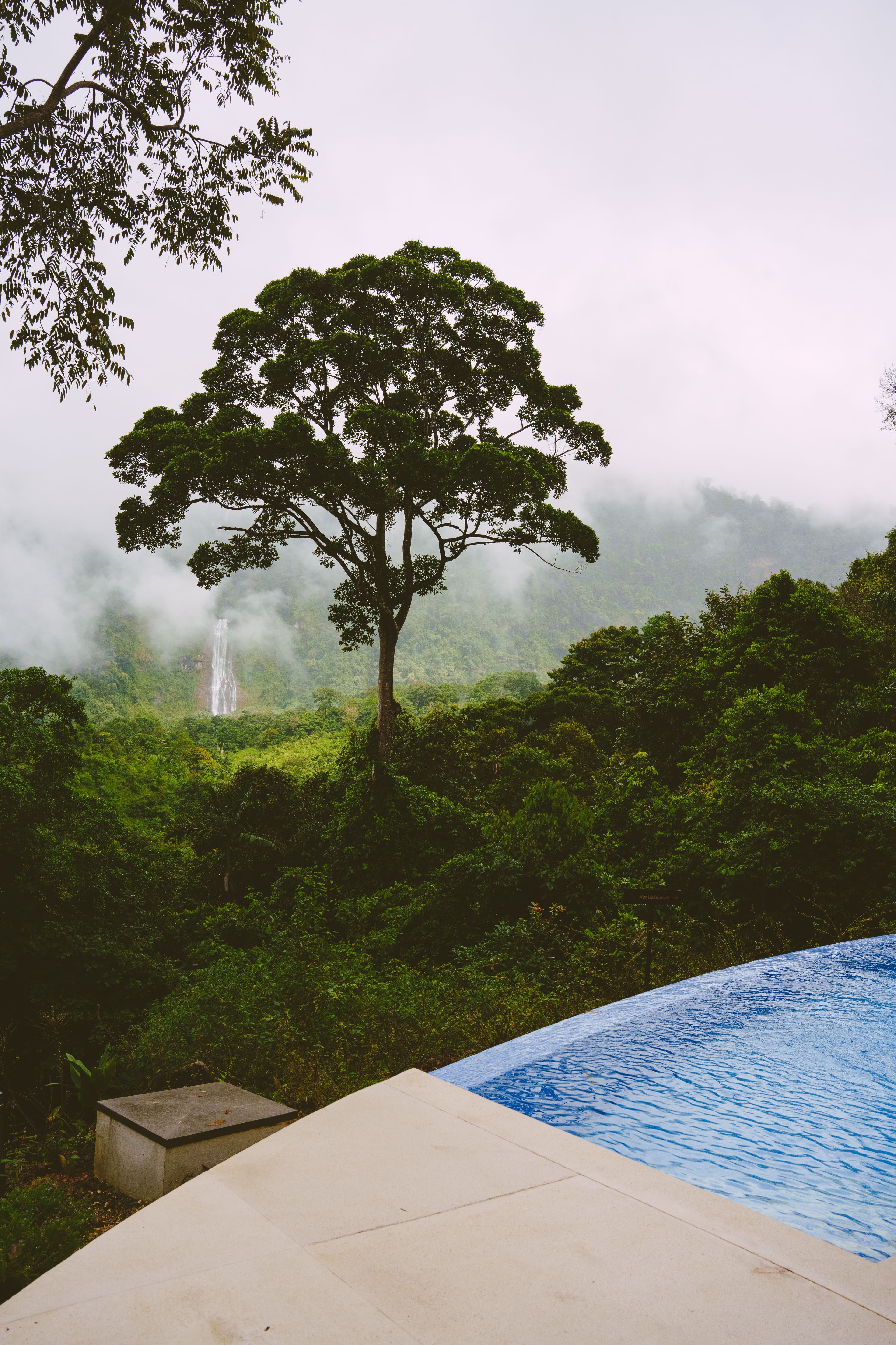 Lush greenery and the distant wonder of the Diamante Waterfall, viewed from the infinity pool at Vajra Jahra.