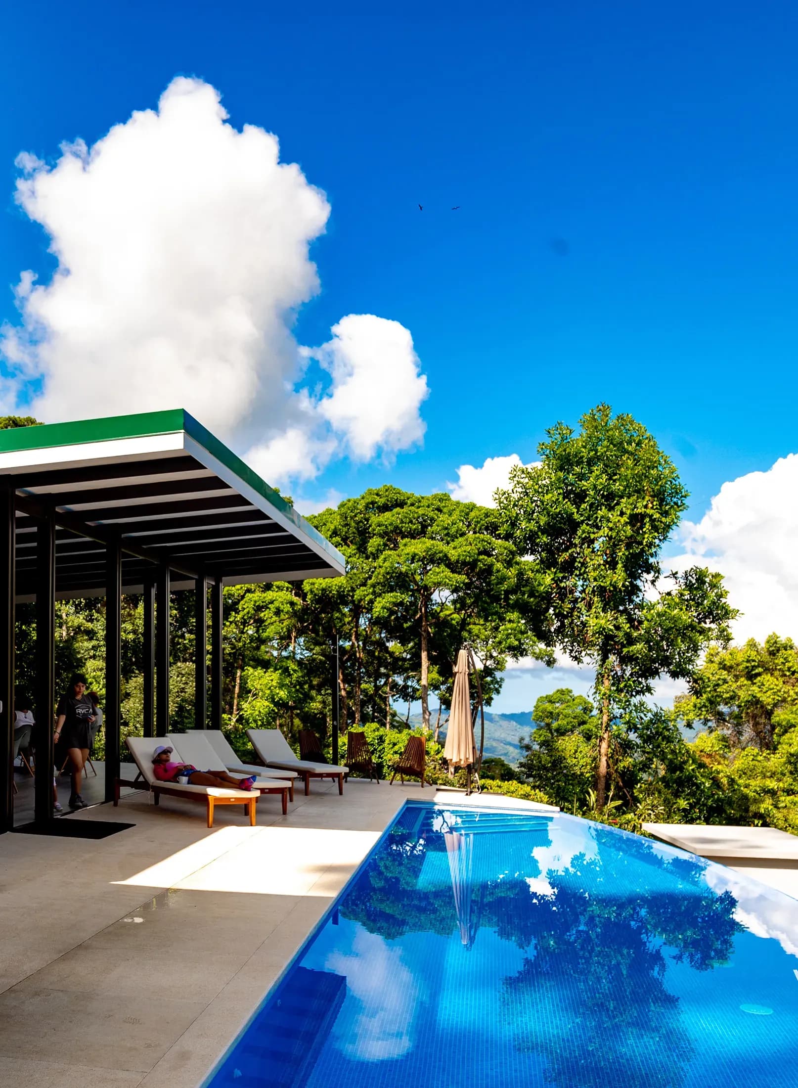 Side view of the infinity pool with views of the jungle featuring deck and lawn chairs.