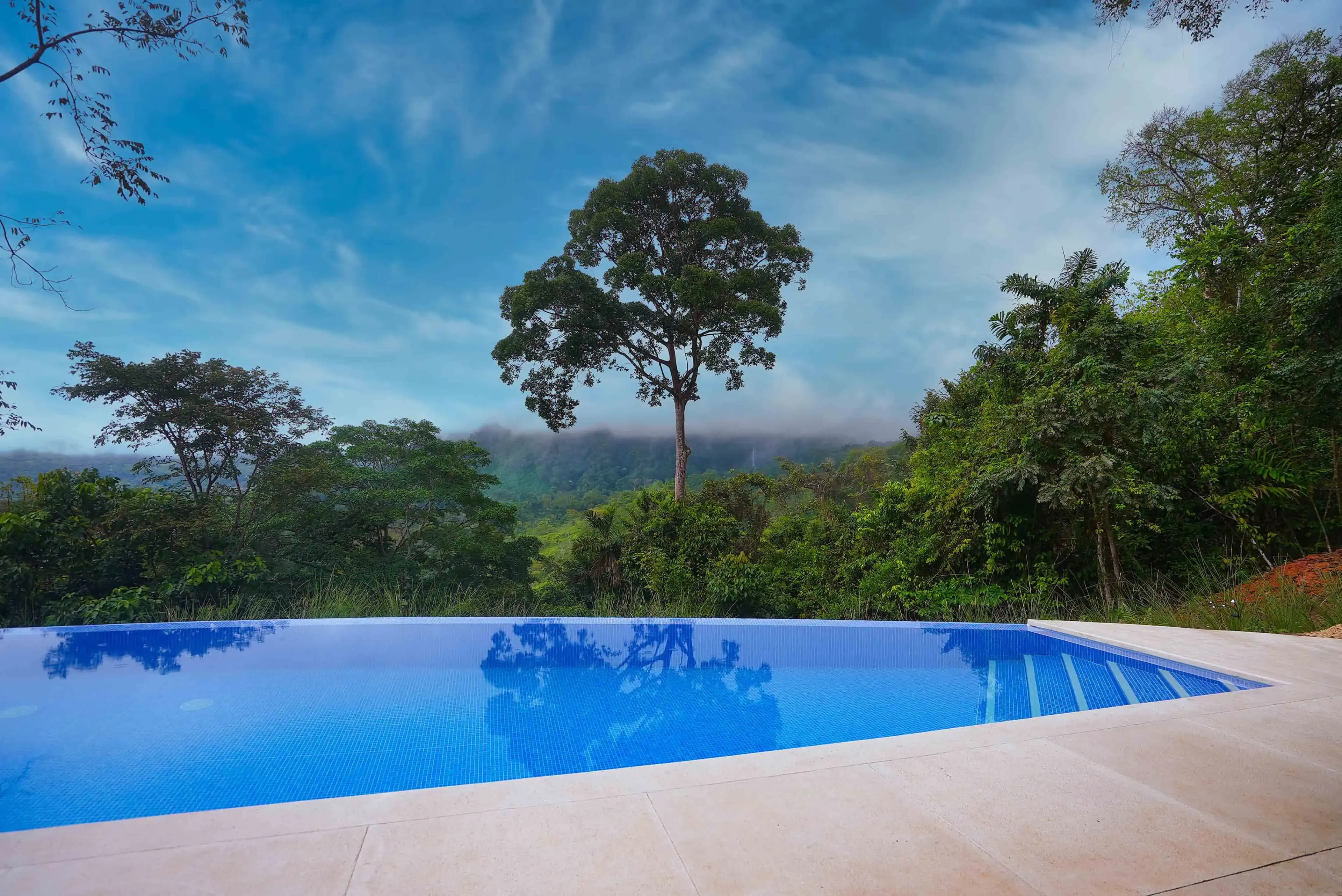 Infinity pool surrounded by nature.