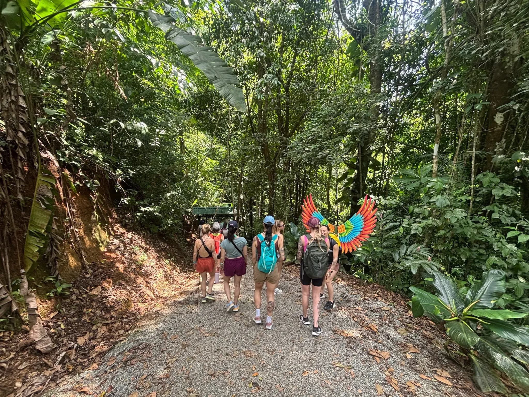 Wellness retreat guests hiking at trail in Costa Rica.