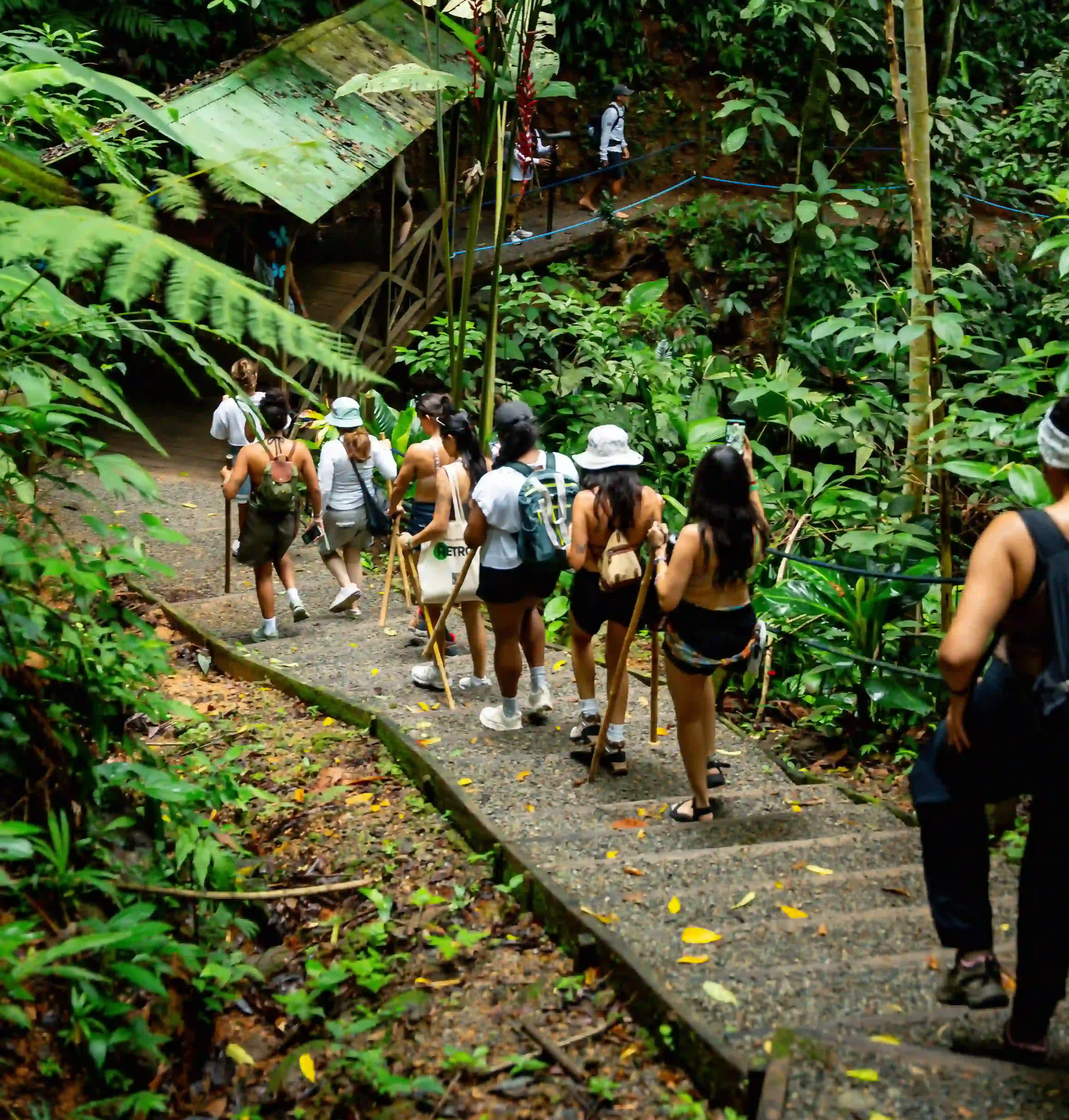 Group hiking through tropical jungle near all inclusive villas in Costa Rica.