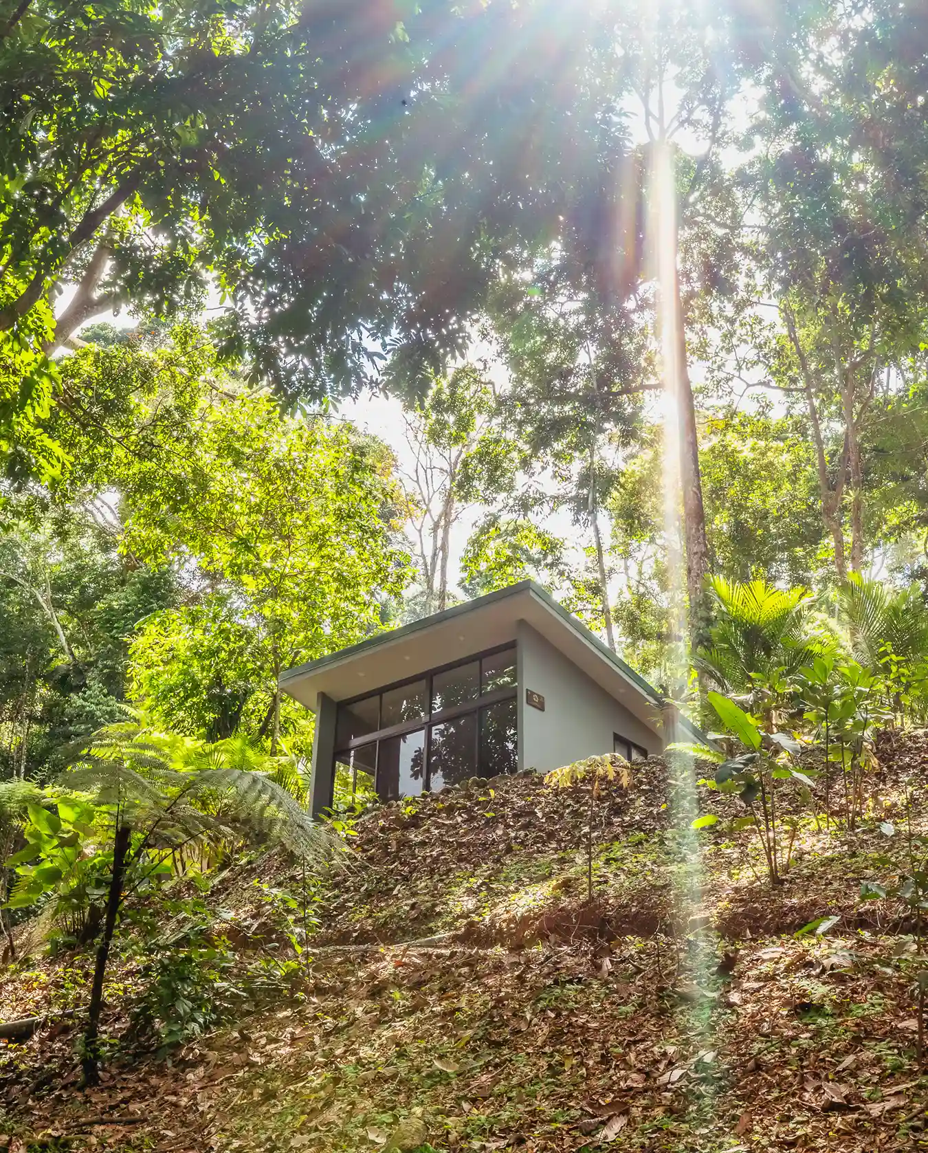 Modern retreat villa interior at Vajra Jahra, a Costa Rica Retreat Center, with comfortable bedding, natural light, and rainforest surroundings.