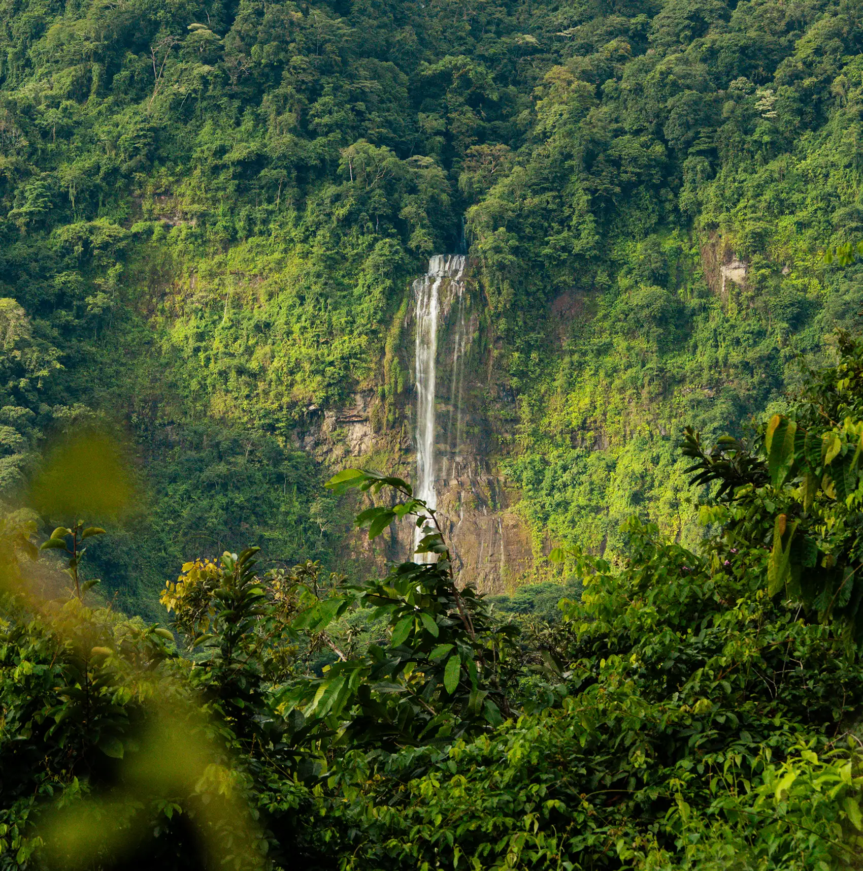 View of a tall jungle waterfall near Vajra Jahra Retreat Center, a costa rica retreat center surrounded by lush rainforest.