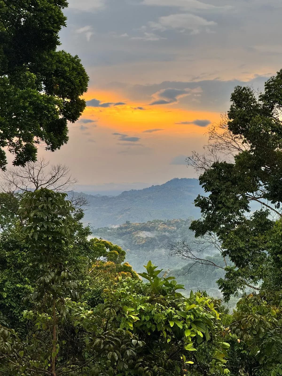 Sunset over the mountains and jungle near Vajra Jahra, a Costa Rica Retreat Center offering peaceful nature views for retreat guests.