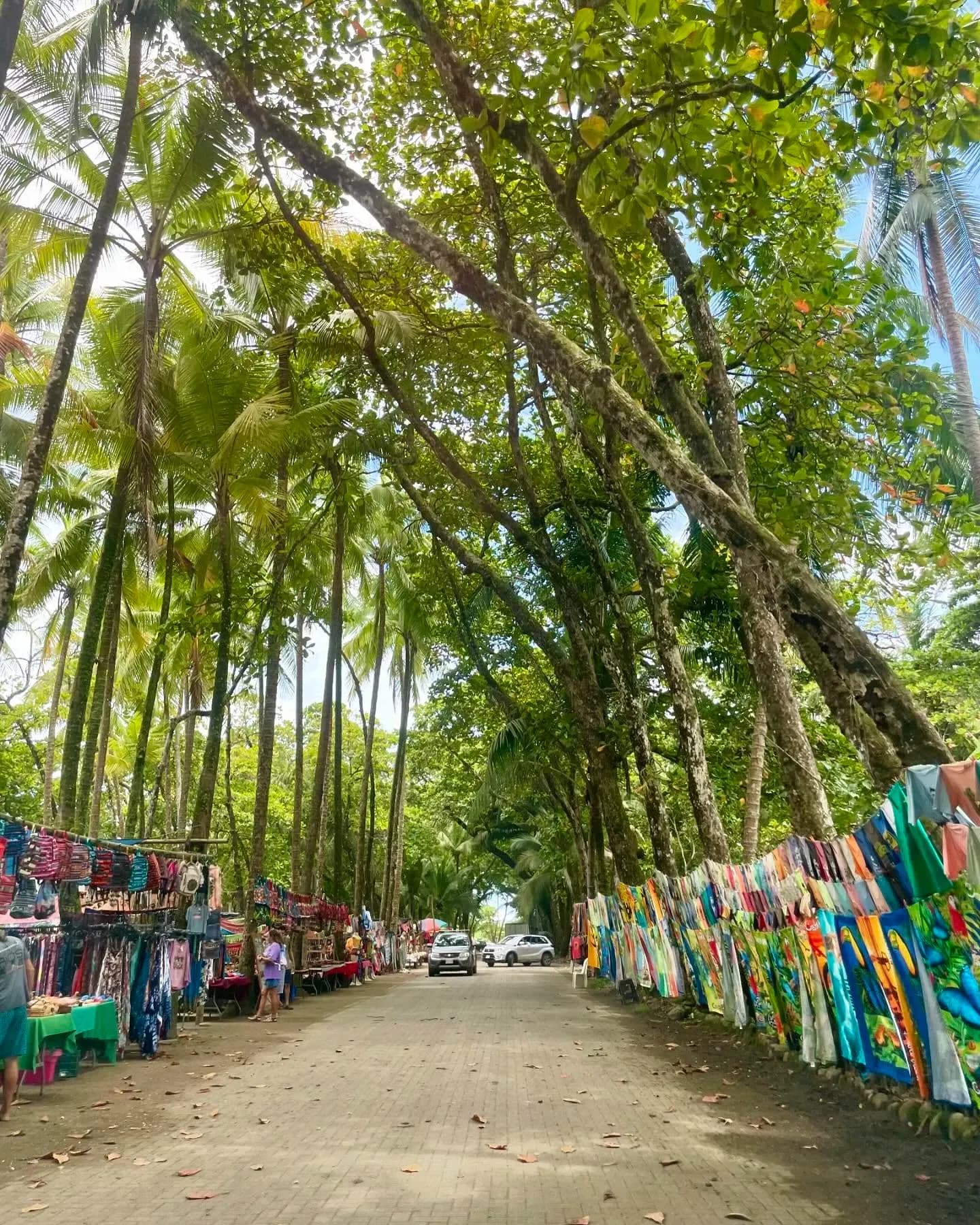 Colorful painted murals lining a tropical pathway near Vajra Jahra, the Costa Rica Retreat Center immersed in nature and local culture.