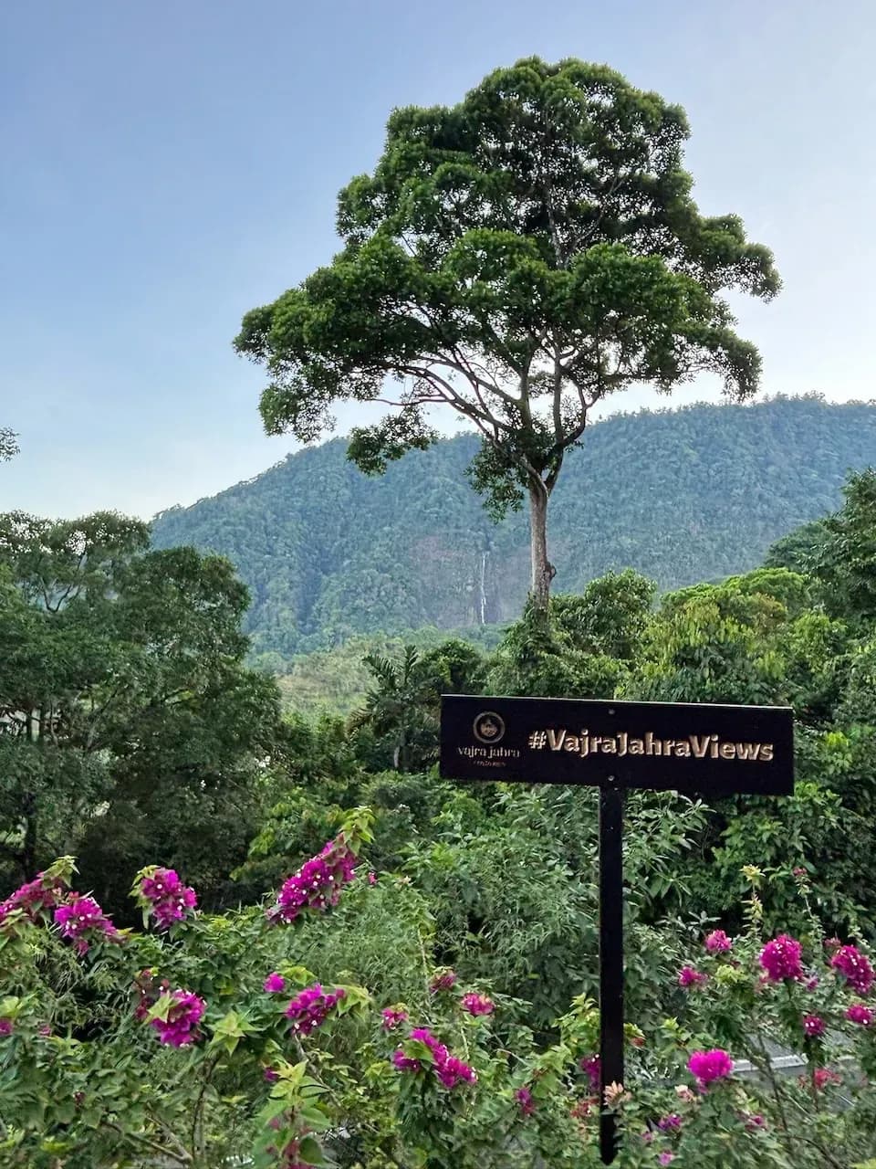 Mountain and jungle views overlooking vibrant flowers at Vajra Jahra, a serene Costa Rica Retreat Center surrounded by lush tropical nature.