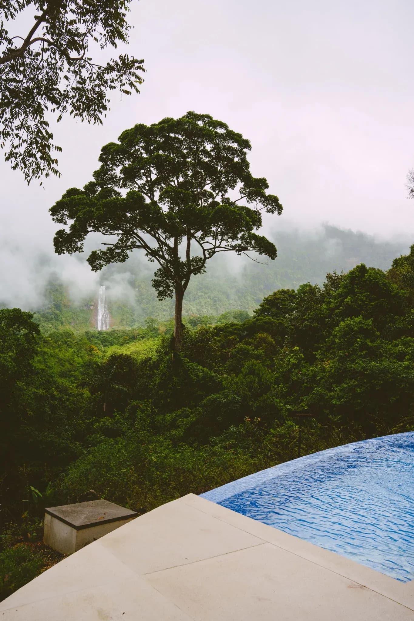 A serene view of the jungle and infinity pool at Vajra Jahra Retreat Center, offering a peaceful setting ideal for Costa Rica Yoga Teacher Training retreats.