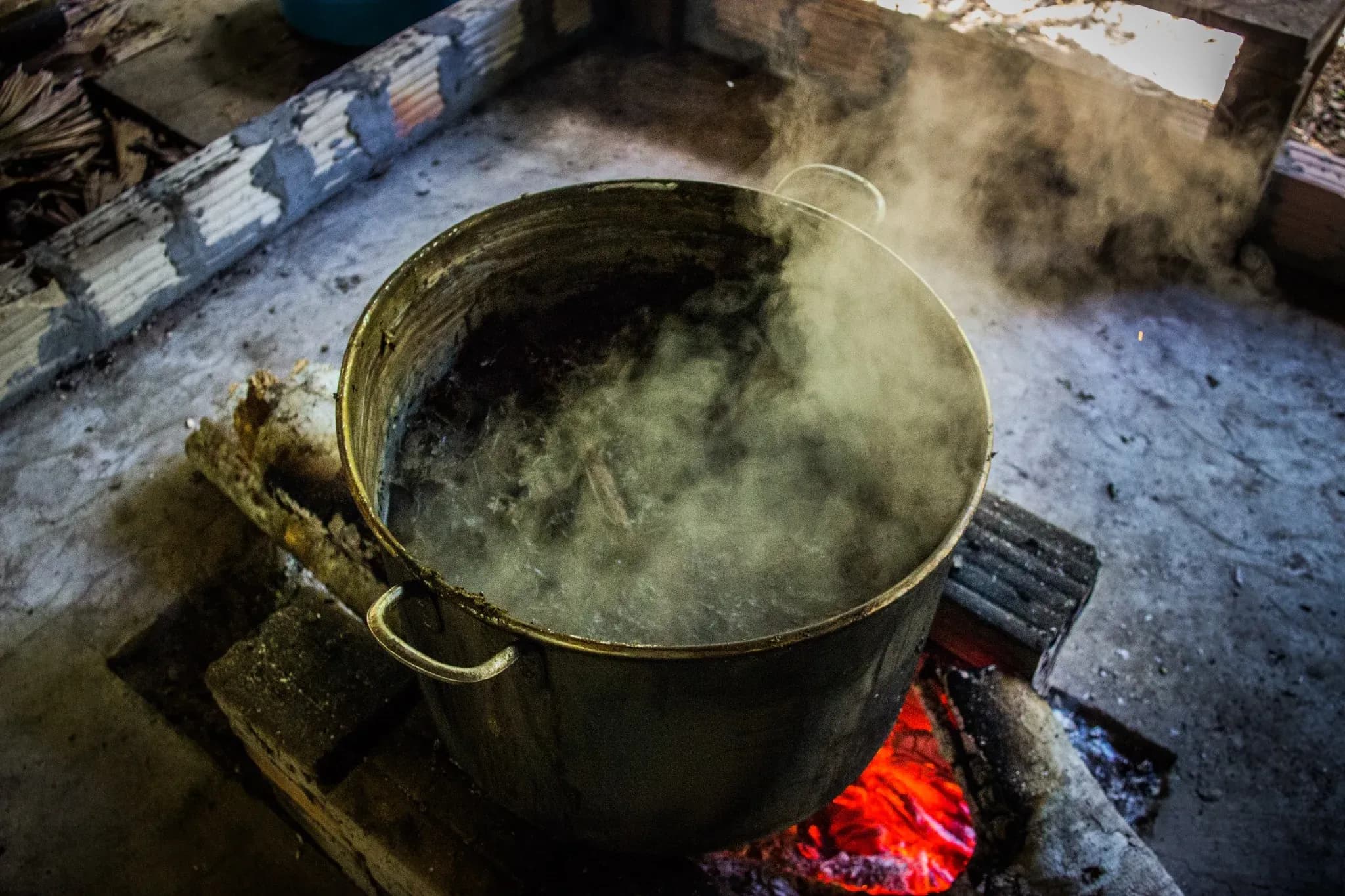 A bowl of ayahuasca in the brewing process, the central element of any ayahuasca retreat.