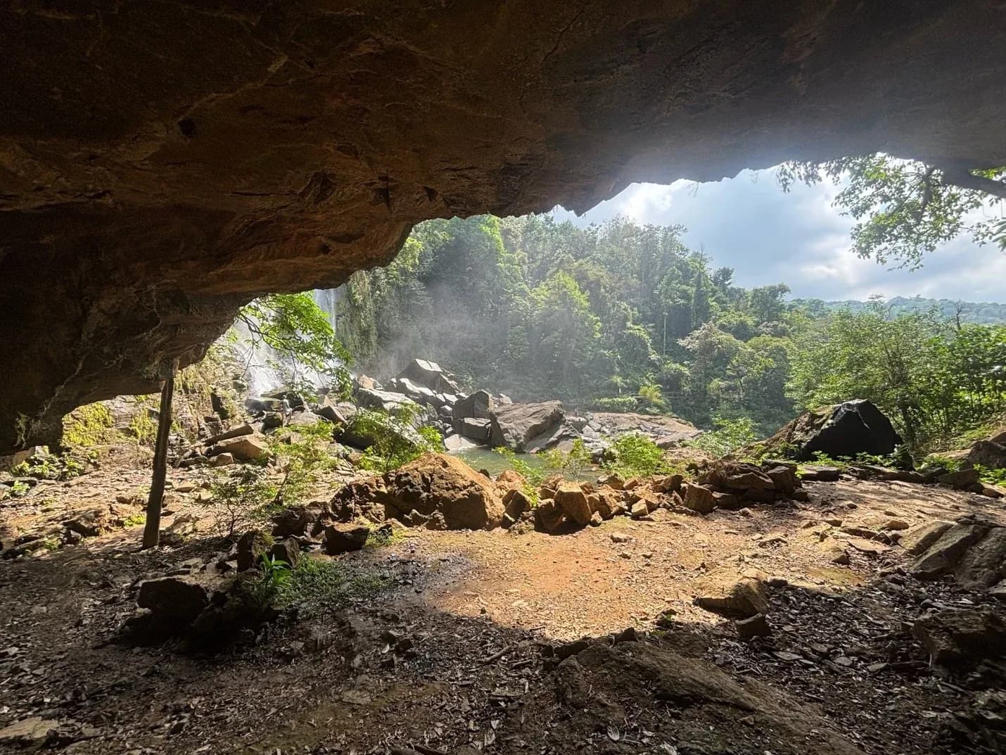 A picturesque view of Costa Rica’s greenery during one of its ideal travel seasons.