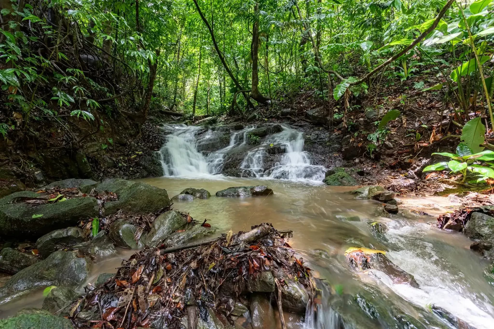 Flowing jungle water feature at Vajra Jahra Retreat Center in Costa Rica, highlighting the serene environment offered when you rent a retreat center.