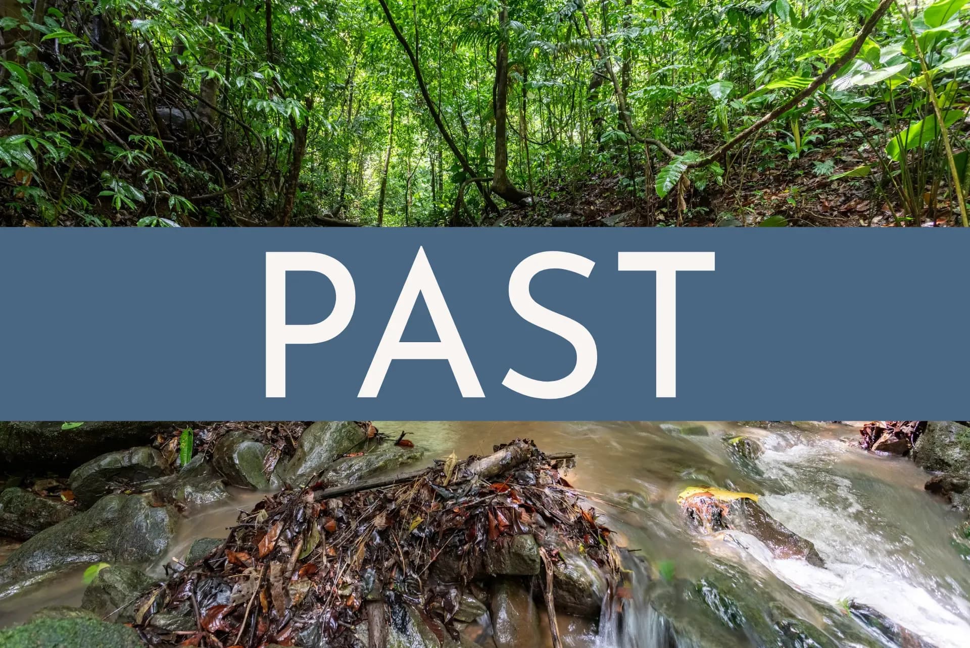 Peaceful jungle stream surrounded by tropical greenery at Vajra Jahra Retreat Center, symbolizing nature’s tranquility retreat Costa Rica experiences.