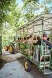 Group of guests on an open-air tractor ride through the jungle near San Jose, Costa Rica.