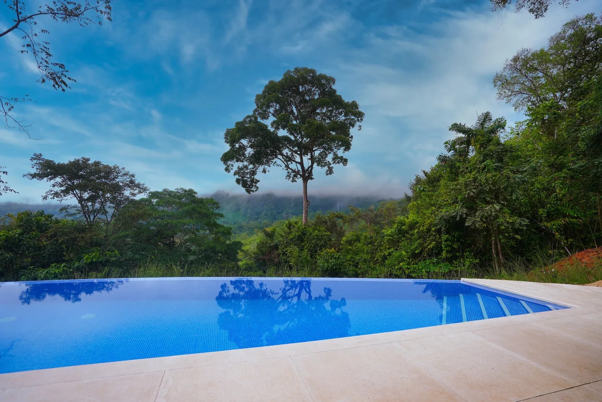 Infinity pool surrounded by nature.